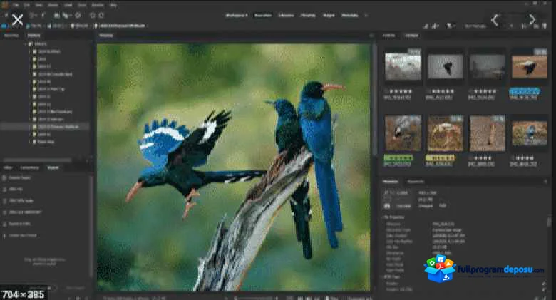 Adobe Bridge 2021 v11.1 Full Türkçe İndir (Ücretsiz) ekran görüntüsü