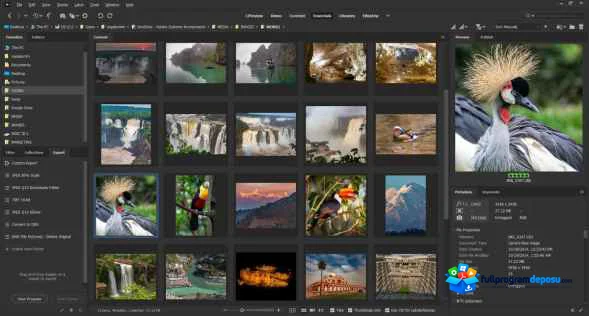 Adobe Bridge 2025 v15.1 Full Türkçe İndir (Win-Mac) ekran görüntüsü