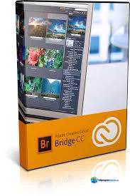 Adobe Bridge CC 2015 v6.3 Full Türkçe İndir (Ücretsiz)