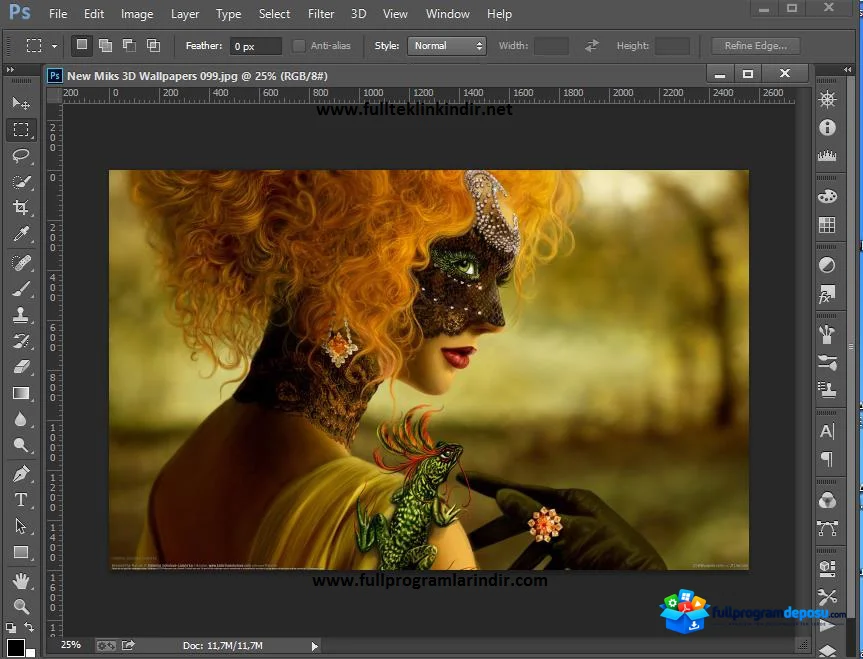 Adobe CC Collection 2015 İndir ekran görüntüsü