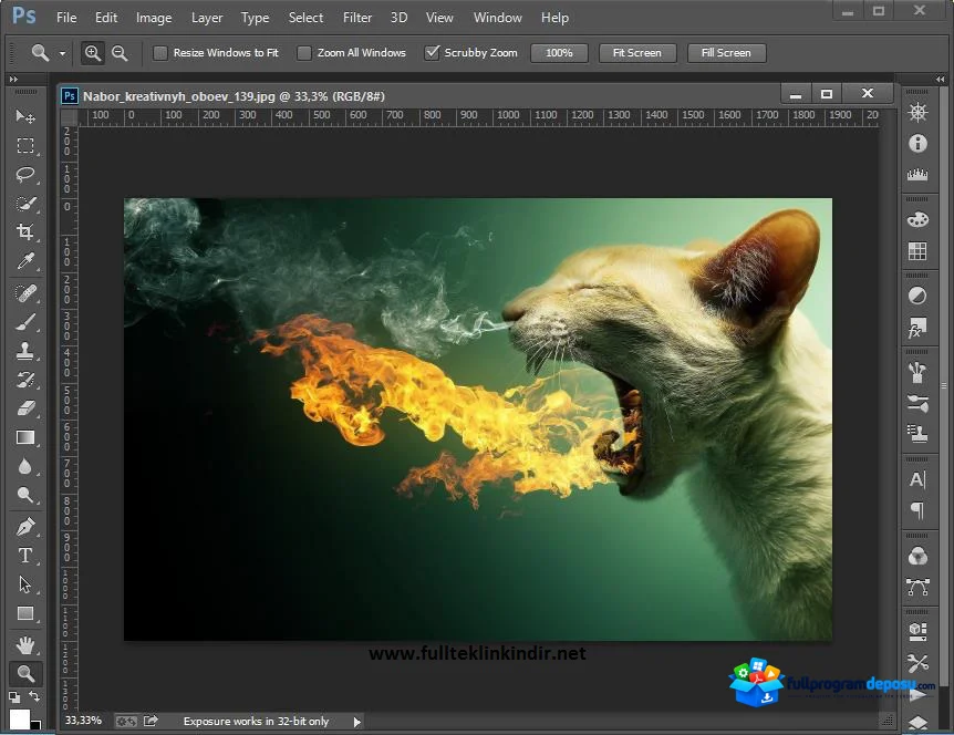 Adobe CC Collection 2015 İndir ekran görüntüsü