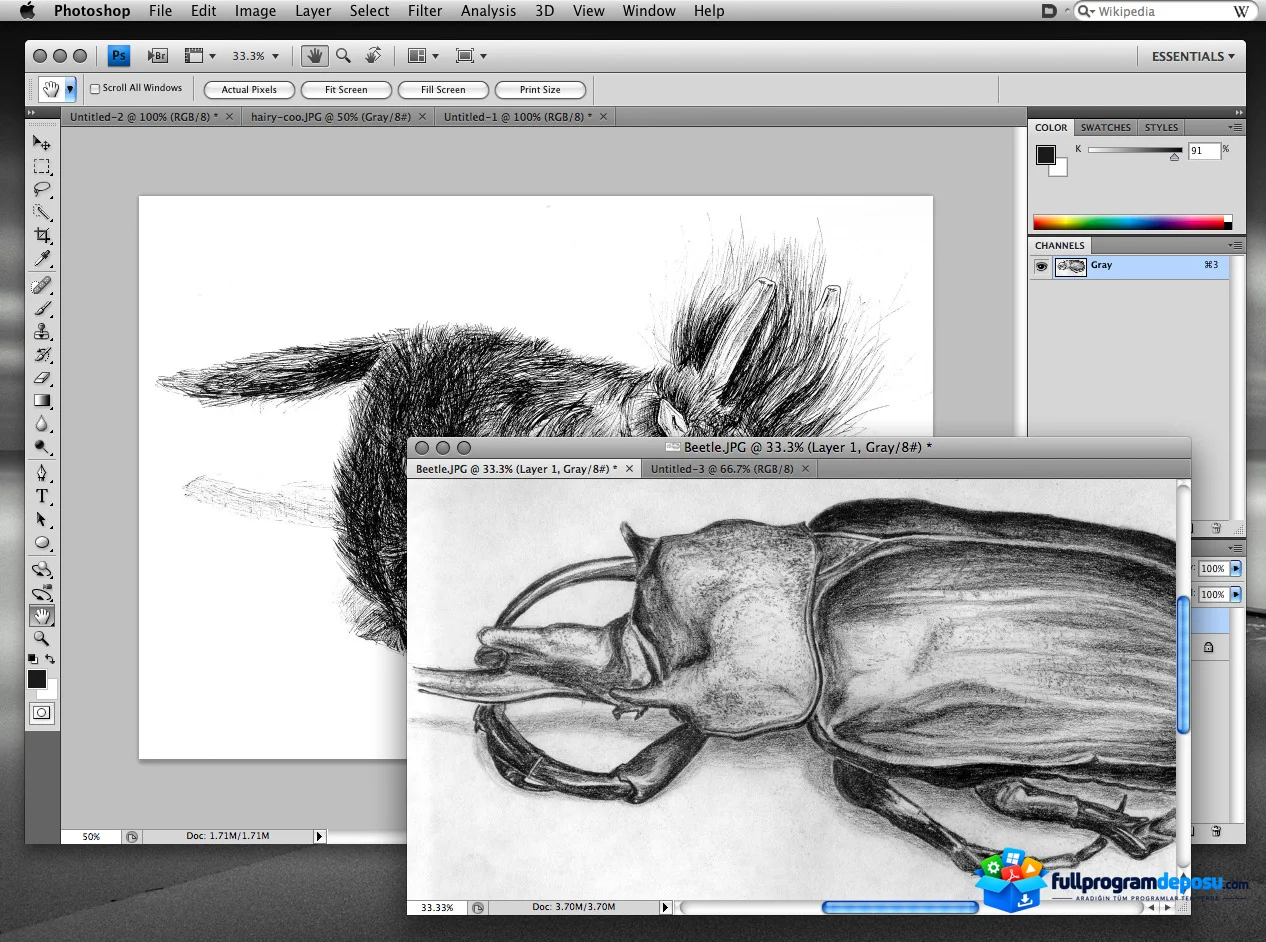Adobe CS4 Master Collection Full İndir ekran görüntüsü