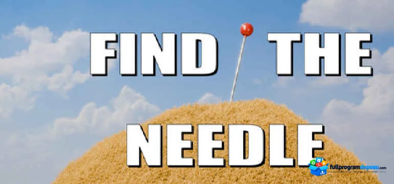 Find The Needle Full İndir – PC Türkçe